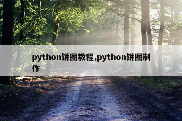 python饼图教程,python饼图制作
