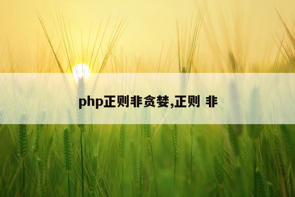 php正则非贪婪,正则 非