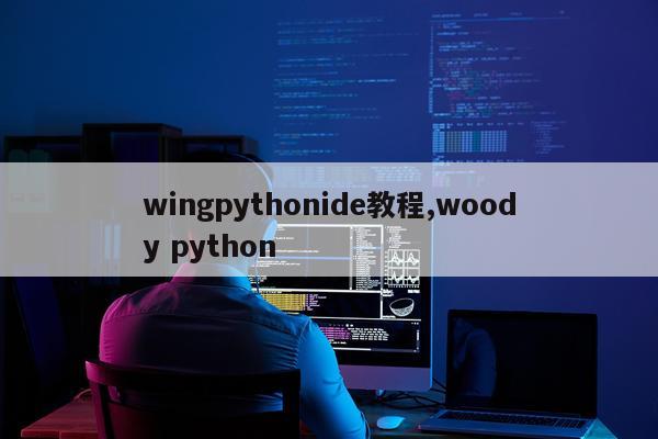 wingpythonide教程,woody python