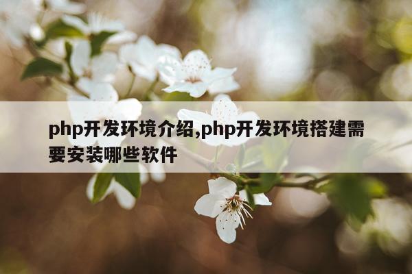 php开发环境介绍,php开发环境搭建需要安装哪些软件