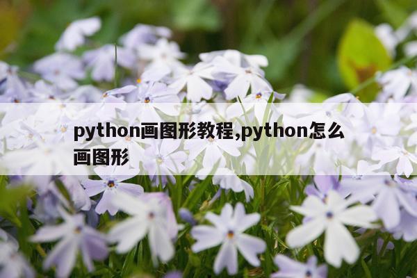 python画图形教程,python怎么画图形