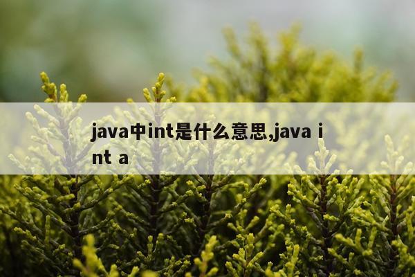 java中int是什么意思,java int a
