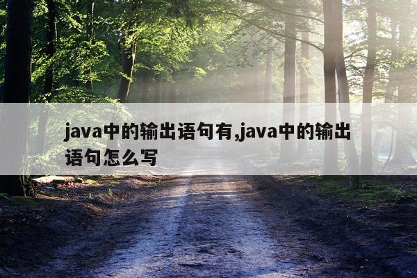 java中的输出语句有,java中的输出语句怎么写