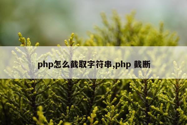 php怎么截取字符串,php 截断