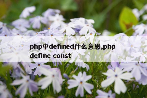 php中defined什么意思,php define const
