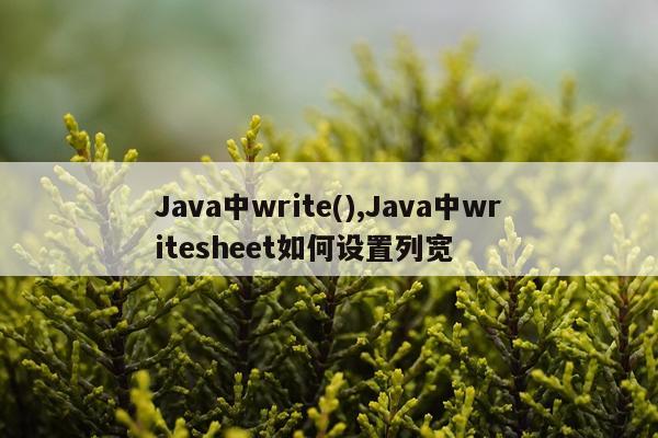 Java中write(),Java中writesheet如何设置列宽