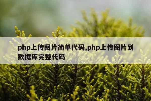 php上传图片简单代码,php上传图片到数据库完整代码