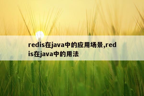 redis在java中的应用场景,redis在java中的用法