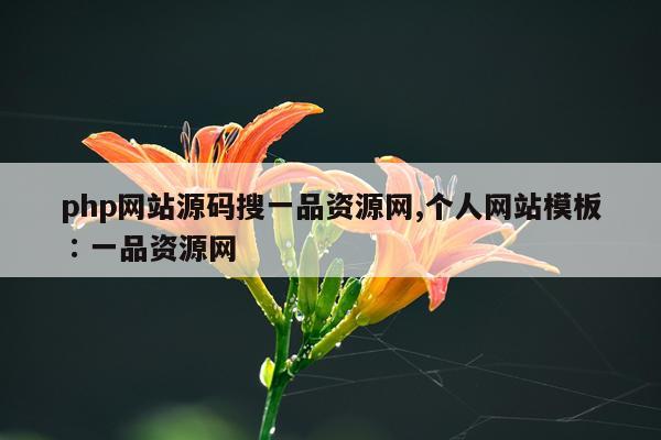 php网站源码搜一品资源网,个人网站模板∶一品资源网