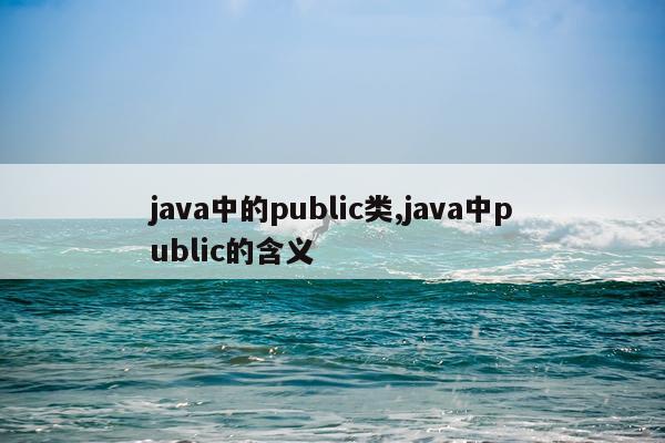 java中的public类,java中public的含义