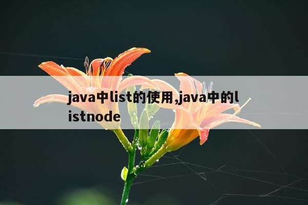 java中list的使用,java中的listnode