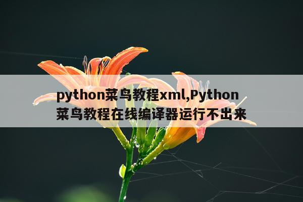 python菜鸟教程xml,Python菜鸟教程在线编译器运行不出来