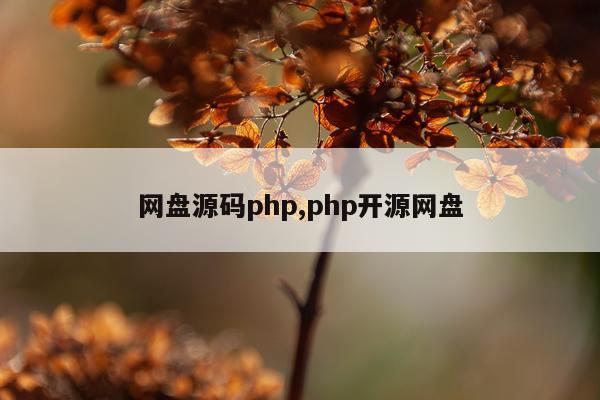 网盘源码php,php开源网盘