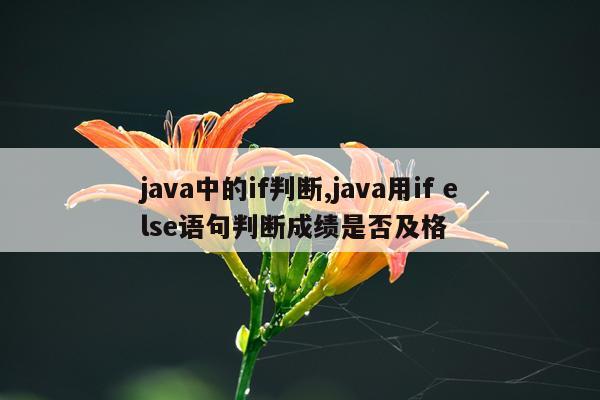 java中的if判断,java用if else语句判断成绩是否及格