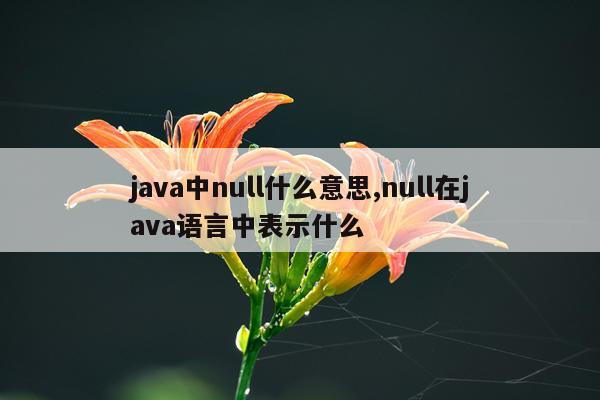 java中null什么意思,null在java语言中表示什么