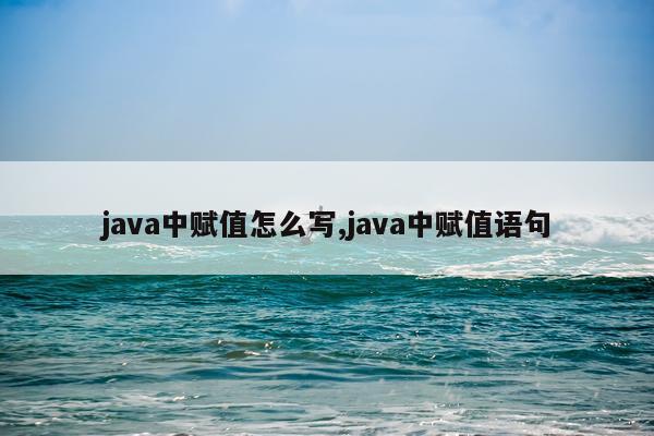 java中赋值怎么写,java中赋值语句