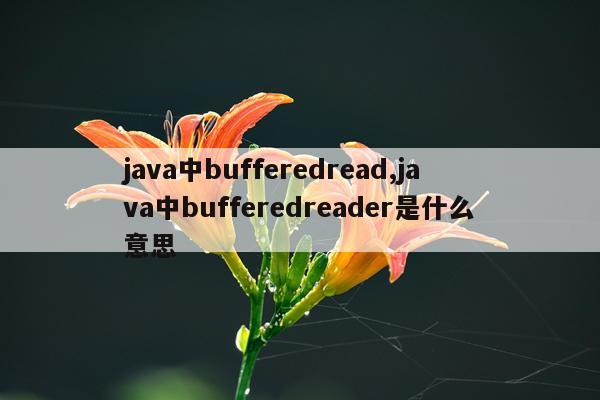 java中bufferedread,java中bufferedreader是什么意思