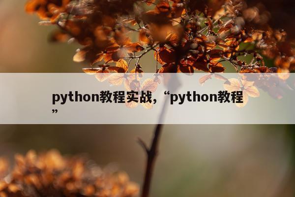 python教程实战,“python教程”