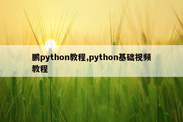 鹏python教程,python基础视频教程