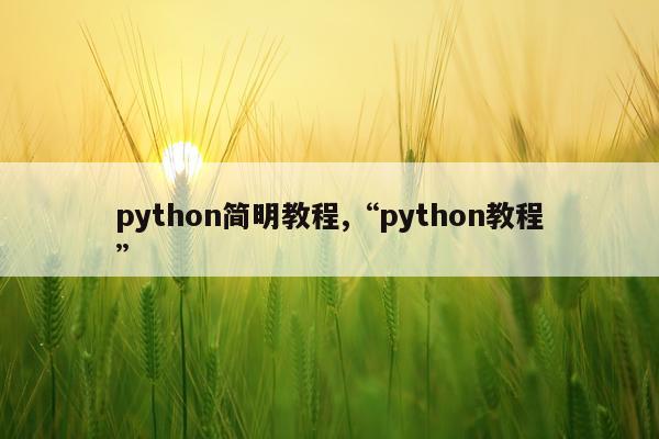 python简明教程,“python教程”