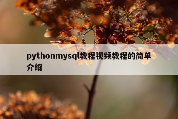 pythonmysql教程视频教程的简单介绍