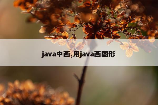 java中画,用java画图形