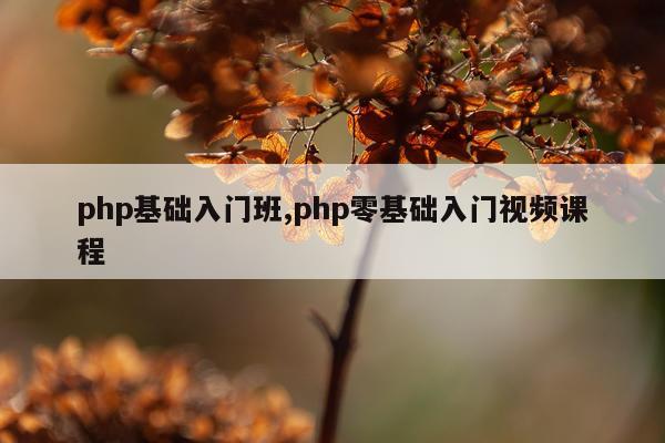 php基础入门班,php零基础入门视频课程