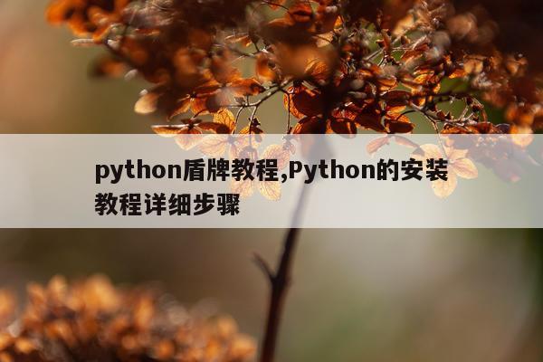 python盾牌教程,Python的安装教程详细步骤