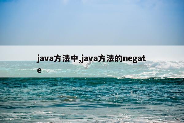 java方法中,java方法的negate
