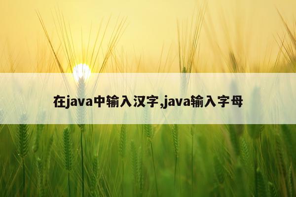 在java中输入汉字,java输入字母