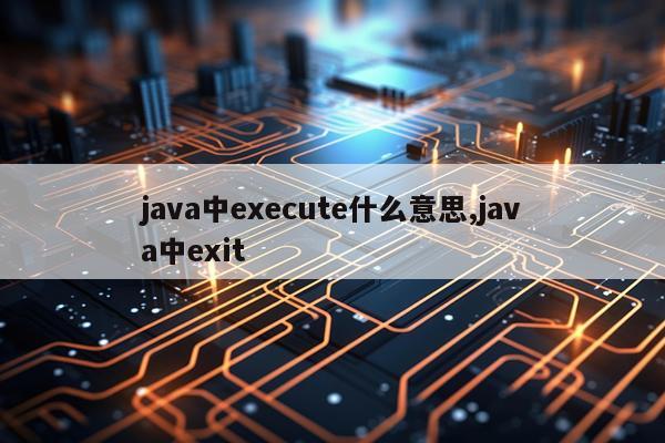 java中execute什么意思,java中exit