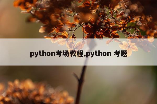 python考场教程,python 考题