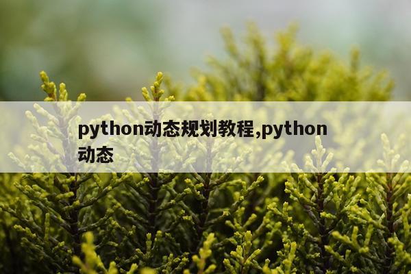 python动态规划教程,python 动态