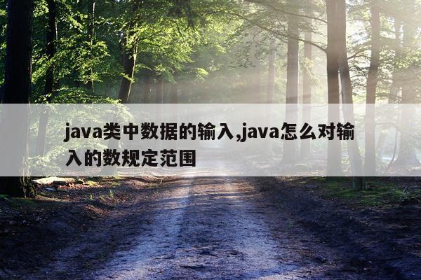 java类中数据的输入,java怎么对输入的数规定范围