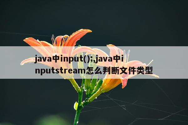 java中input();,java中inputstream怎么判断文件类型