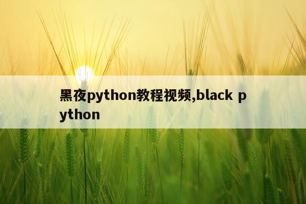 黑夜python教程视频,black python