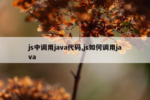 js中调用java代码,js如何调用java
