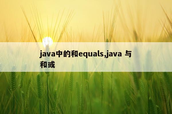 java中的和equals,java 与和或