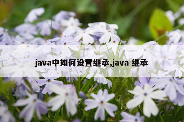 java中如何设置继承,java 继承