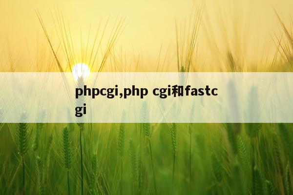 phpcgi,php cgi和fastcgi