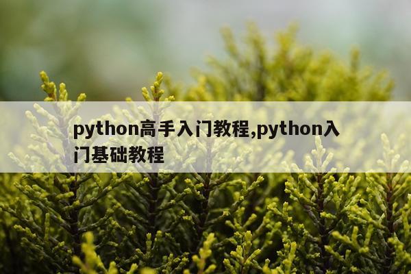 python高手入门教程,python入门基础教程