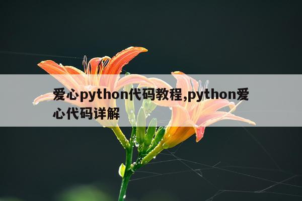 爱心python代码教程,python爱心代码详解
