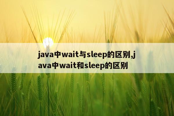 java中wait与sleep的区别,java中wait和sleep的区别