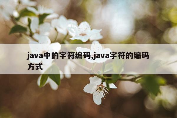 java中的字符编码,java字符的编码方式