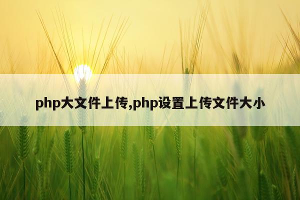 php大文件上传,php设置上传文件大小