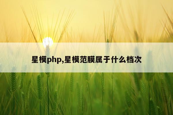 星模php,星模范膜属于什么档次