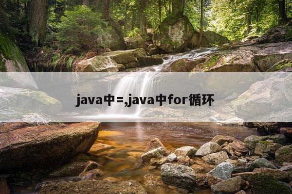 java中=,java中for循环