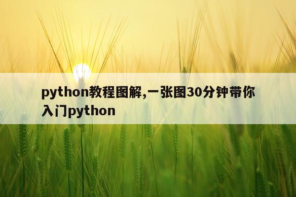 python教程图解,一张图30分钟带你入门python