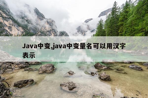 Java中变,java中变量名可以用汉字表示