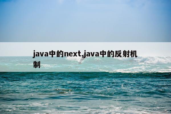 java中的next,java中的反射机制
